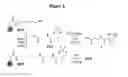 Fig. 06 - Methods for generating analogs of coenzyme A