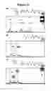 Fig. 12 - Methods for generating analogs of coenzyme A