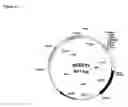 Fig. 16 - Isolated polypeptide having arabinofuranosidase activity