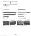 Fig. 02 - Chimeric empty capsids of the infectious bursal disease viruse (ibdv), obtainment process and applications
