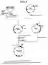 Fig. 05 - Promoters and gene expression method by using the promoters