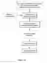 Fig. 03 - Expression system of NELL peptide