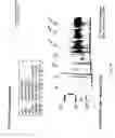 Fig. 08 - Expression system of NELL peptide