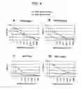 Fig. 05 - Systems of diagnosing cervical cancer