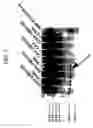 Fig. 08 - Systems of diagnosing cervical cancer
