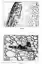 Fig. 09 - Method for making metal oxides