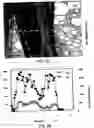 Fig. 35 - Method for making metal oxides