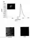 Fig. 48 - Method for making metal oxides