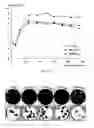 Fig. 06 - Chimeric West Nile viruses and uses thereof