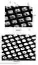 Fig. 03 - Micro-bubble plate for patterning biological and non-biological materials