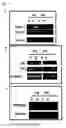 Fig. 05 - Human mesenchymal stem cells and culturing methods thereof