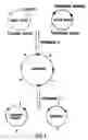 Fig. 02 - Methods of manipulating and sequencing nucleic acid molecules using transposition and recombination