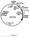 Fig. 08 - Method of introducing a mitochondrial genome into a eukaryotic cell mitochondrion