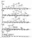 Fig. 03 - Method for the identification and relative quantification of proteins based on the selective isolation of RRnK peptides for the simplification of complex mixtures of proteins