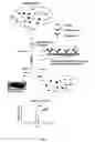 Fig. 02 - METHOD AND APPARATUS FOR MASS SPECTROMETRIC IMMUNOASSAY ANALYSIS OF SPECIFIC BIOLOGICAL FLUID PROTEINS