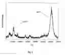 Fig. 05 - METHOD AND APPARATUS FOR MASS SPECTROMETRIC IMMUNOASSAY ANALYSIS OF SPECIFIC BIOLOGICAL FLUID PROTEINS