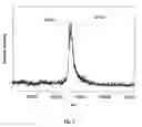 Fig. 08 - METHOD AND APPARATUS FOR MASS SPECTROMETRIC IMMUNOASSAY ANALYSIS OF SPECIFIC BIOLOGICAL FLUID PROTEINS