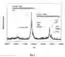 Fig. 09 - METHOD AND APPARATUS FOR MASS SPECTROMETRIC IMMUNOASSAY ANALYSIS OF SPECIFIC BIOLOGICAL FLUID PROTEINS