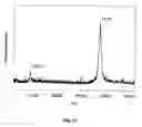 Fig. 16 - METHOD AND APPARATUS FOR MASS SPECTROMETRIC IMMUNOASSAY ANALYSIS OF SPECIFIC BIOLOGICAL FLUID PROTEINS