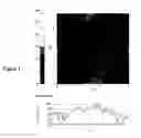 Fig. 04 - Process of producing group III nitride based reflectors