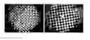 Fig. 01 - Multicore Microstructured Optical Fibers for Imaging