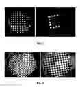 Fig. 03 - Multicore Microstructured Optical Fibers for Imaging