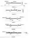 Fig. 04 - Method and structure for buried circuits and devices