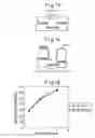 Fig. 10 - Process and apparatus for forming oxide film, and electronic device material
