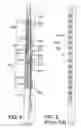 Fig. 04 - Ganged electrical outlets, apparatus, and methods of use
