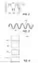Fig. 04 - Implantable antenna