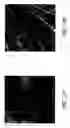 Fig. 15 - Three-dimensionally reinforced multifunctional nanocomposites