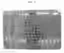 Fig. 04 - Novel Grinding Tool