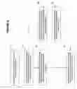 Fig. 05 - BROADCAST CONTENT REQUEST FOR MOBILE DEVICES