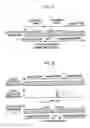 Fig. 04 - Method for Seamless Inter-Frequency Hard Handover in Radio Communication System