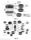 Fig. 03 - Devices, systems and methods for scenario based services and intelligent user feedback
