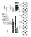 Fig. 09 - Methods and apparatus for enhanced play in lottery and gaming environments