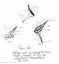 Fig. 02 - Golf tee