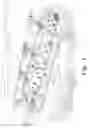 Fig. 02 - Athletic game