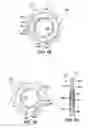 Fig. 41 - Bicycle sprocket