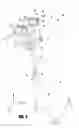 Fig. 04 - MUSCLE STRENGTHENING DEVICE