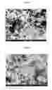 Fig. 08 - Intermetallic compound NiAl catalyst for reforming methanol and methanol reforming method using same