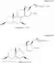 Fig. 17 - Pharmaceutical treatments and compositions