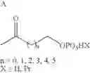 Fig. 29 - Pharmaceutical treatments and compositions
