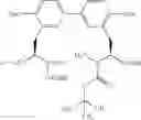 Fig. 148 - Antibacterial amide macrocycles