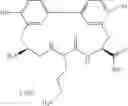 Fig. 185 - Antibacterial amide macrocycles