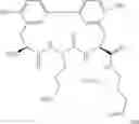 Fig. 200 - Antibacterial amide macrocycles
