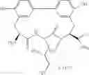 Fig. 201 - Antibacterial amide macrocycles