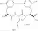 Fig. 202 - Antibacterial amide macrocycles