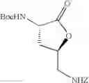 Fig. 48 - Antibacterial amide macrocycles