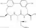 Fig. 56 - Antibacterial amide macrocycles
